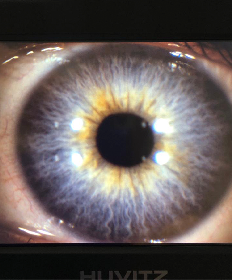 a44dc00c-09a3-49ef-bfdc-f51dfb6502f8